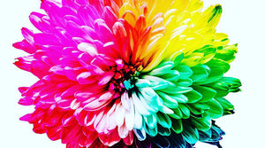The Benefits of Chromotherapy