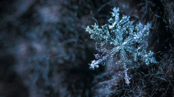 Starting Your Portable Spa for the First Time This Winter? Read This First!