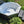Load image into Gallery viewer, Muskoka 5-Person 14-Jet Portable Hot Tub

