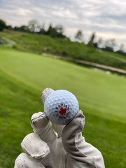 CSC Swift X Pro Golf Balls